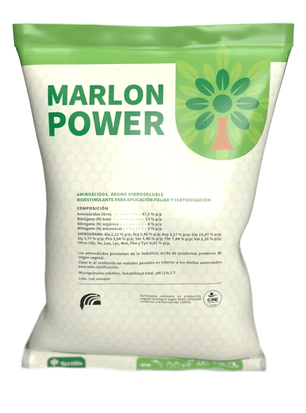 Marlon Power